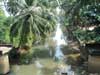 AVM canal