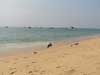 Sea Shore